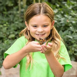 Butterfly Garden: Original Habitat and Live Cup of Caterpillars with STEM Butterfly Journal – Life Science & STEM Education – Butterfly Science Kit