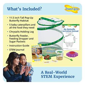 Butterfly Garden: Original Habitat and Live Cup of Caterpillars with STEM Butterfly Journal – Life Science & STEM Education – Butterfly Science Kit