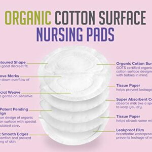 PureTree Organic Cotton Disposable Nursing Pads - for Breastfeeding (1 Box - 100 Pads)