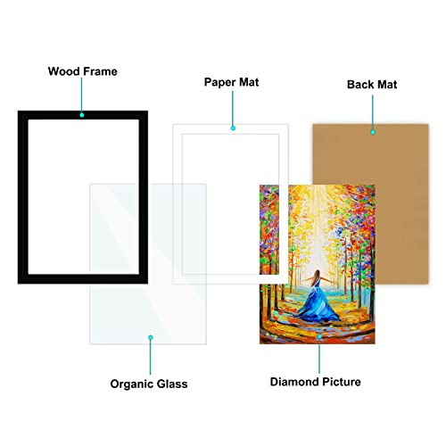 Betionol 12x16 Picture Frame 2 Pack, Display 12x16in/30x40cm Diamond Painting Kits/Photos/Prints, Black Natural Solid Wood Picture Frame with Acrylic Protection Glass, Back Mat And Hanging Kit