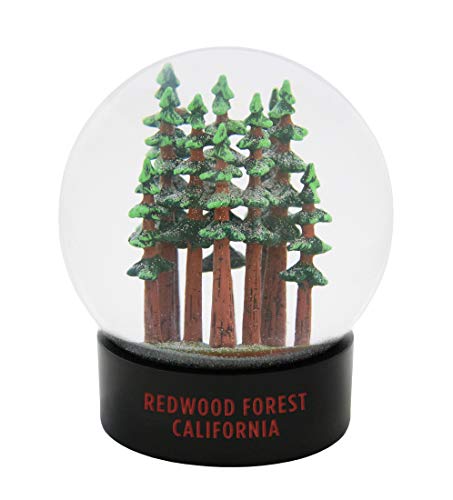 Redwoods California Fog Snow Globe Hand Painted