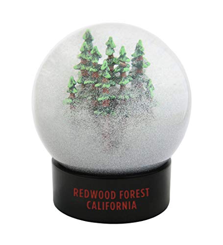 Redwoods California Fog Snow Globe Hand Painted