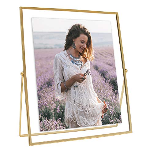 MIMOSA MOMENTS Gold Metal Floating Picture Frame (Gold, 8x10)