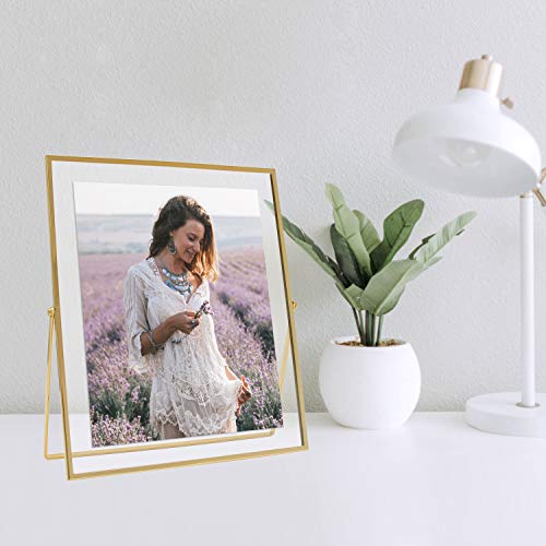 MIMOSA MOMENTS Gold Metal Floating Picture Frame (Gold, 8x10)