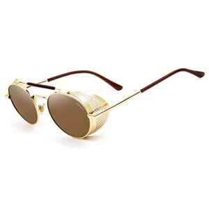 ANDOILT Steampunk Style Round Sunglasses for Men Women Vintage Retro Eyewear Matel Frame UV400 Protection Golden frame Brown lens