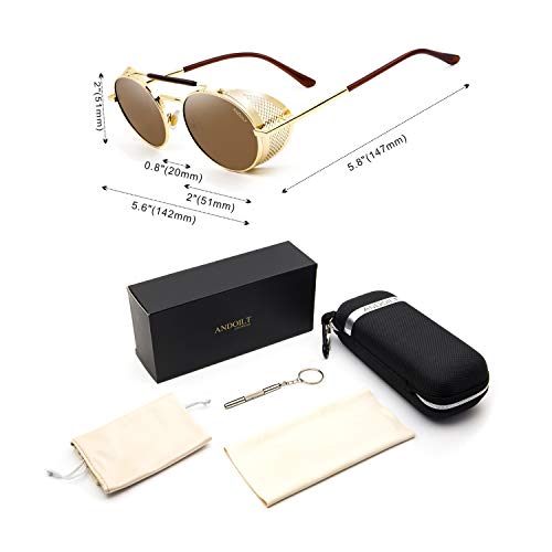 ANDOILT Steampunk Style Round Sunglasses for Men Women Vintage Retro Eyewear Matel Frame UV400 Protection Golden frame Brown lens