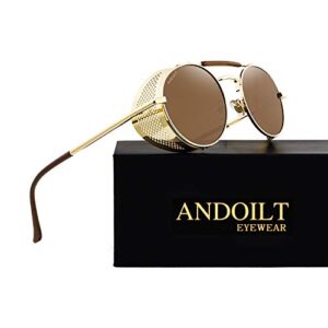 ANDOILT Steampunk Style Round Sunglasses for Men Women Vintage Retro Eyewear Matel Frame UV400 Protection Golden frame Brown lens