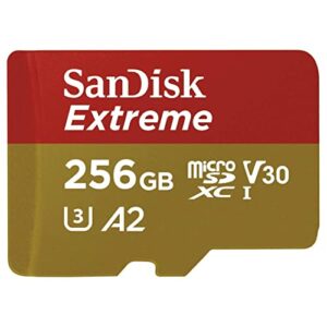 SanDisk Extreme 256GB Micro SD Memory Card for GoPro Works with GoPro Hero 9 Black Camera UHS-1 U3 / V30 A2 4K Class 10 (SDSQXA1-256G-GN6MN) Bundle with 1 Everything But Stromboli MicroSD Card Reader