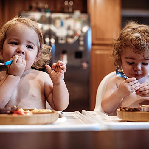 Avanchy® Baby Spoons Stainless Steel and Silicone Set, Self Feeding Food Utensils, 4 Months Baby Led Weaning, 2 Pack, Gray Spoons