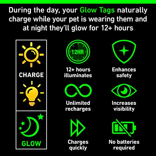 GLO-X Dog Glow Tag - Glow in The Dark Cat Tags to Keep Your Pets Safe at Night - 12+ Hours Glow Time - Charges in Daylight - No Batteries Required 1.38” x 1.10” Diameter