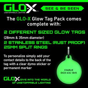 GLO-X Dog Glow Tag - Glow in The Dark Cat Tags to Keep Your Pets Safe at Night - 12+ Hours Glow Time - Charges in Daylight - No Batteries Required 1.38” x 1.10” Diameter