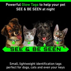 GLO-X Dog Glow Tag - Glow in The Dark Cat Tags to Keep Your Pets Safe at Night - 12+ Hours Glow Time - Charges in Daylight - No Batteries Required 1.38” x 1.10” Diameter