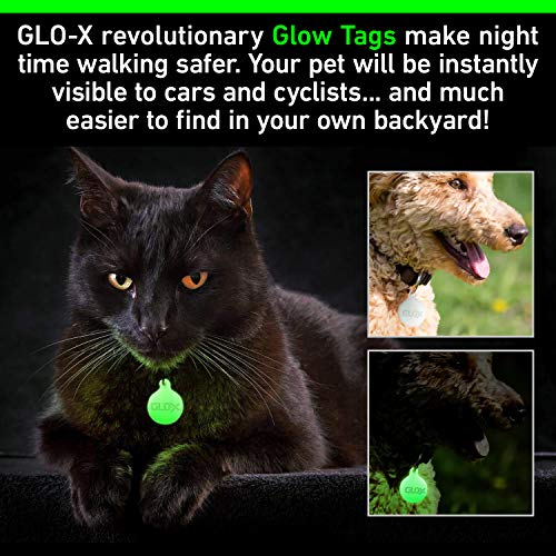 GLO-X Dog Glow Tag - Glow in The Dark Cat Tags to Keep Your Pets Safe at Night - 12+ Hours Glow Time - Charges in Daylight - No Batteries Required 1.38” x 1.10” Diameter