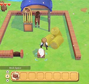 Story of Seasons: Pioneers of Olive Town - Nintendo Switch