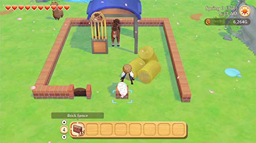 Story of Seasons: Pioneers of Olive Town - Nintendo Switch