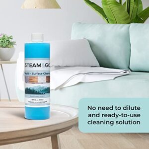 Steam & Go Floor Cleaners for Tile and Wood Floors, All Purpose Cleaner Mopping Solution, Use As Floor Cleaner, Wall Cleaner, and Tile Cleaner, Household Cleaning Supplies, Rainforest Scent, 12oz