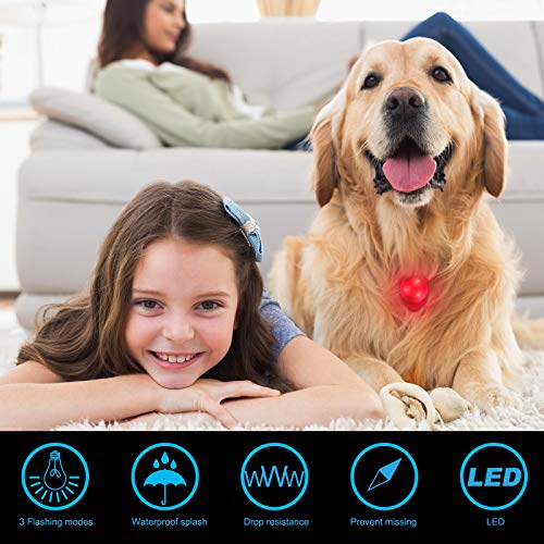 6 Pieces Pet Dog Cat Collar Lights Pet Tag Lights Dog Night Walking Safety Lights Waterproof Clip-on Pet Collar Lights for Making Your Small Medium Large Dogs Cats Visible, Colors in Random