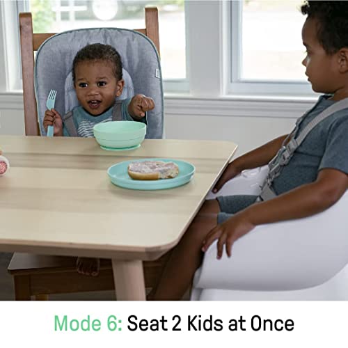 Ingenuity Beanstalk Baby to Big Kid 6-in-1 High Chair Converts from Soothing Infant Seat to Dining Booster Seat and more, Newborn to 5 Yrs - Ray