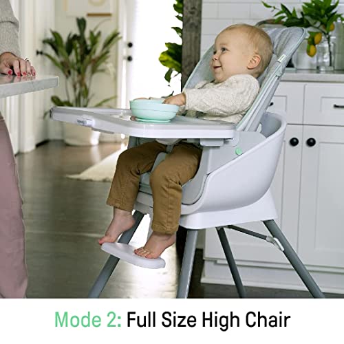 Ingenuity Beanstalk Baby to Big Kid 6-in-1 High Chair Converts from Soothing Infant Seat to Dining Booster Seat and more, Newborn to 5 Yrs - Ray