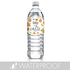 Little Cutie Baby Shower Water Bottle Labels, 24 Count