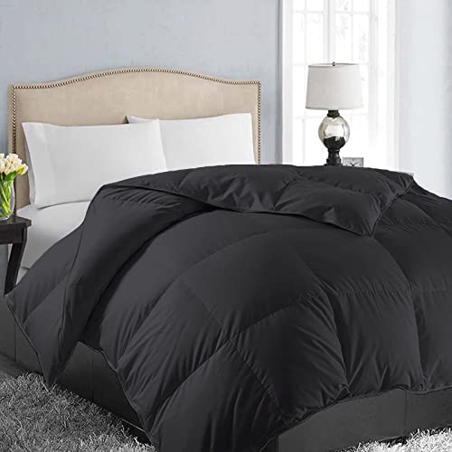 EASELAND All Season Queen Size Soft Quilted Down Alternative Comforter Reversible Duvet Insert with Corner Tabs,Winter Summer Warm Fluffy,Black,88x88 inches