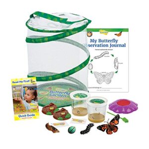 butterfly garden: original habitat and two live cups of caterpillars with stem butterfly journal – life science & stem education – butterfly science kit - plus butterfly life cycle stages figurines