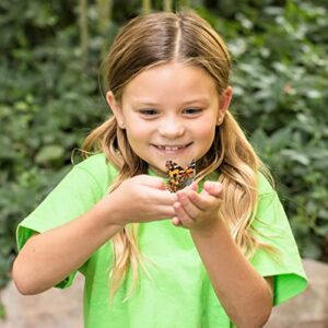 Butterfly Garden: Original Habitat and Two Live Cups of Caterpillars with STEM Butterfly Journal – Life Science & STEM Education – Butterfly Science Kit - Plus Butterfly Life Cycle Stages Figurines