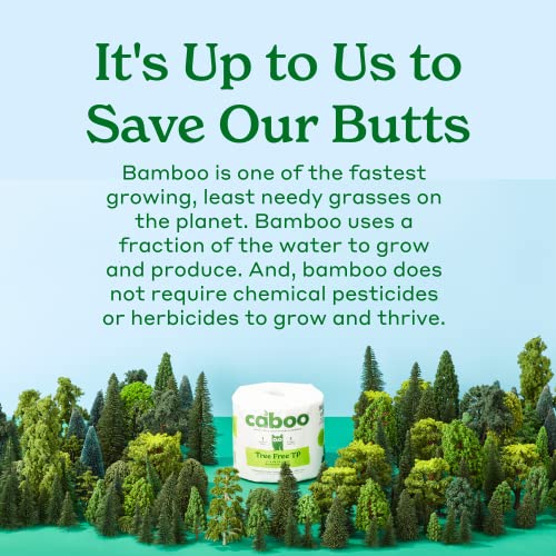 Caboo Tree Free Bamboo Paper Towels, 8 Rolls, Earth Friendly Sustainable Kitchen Paper Towels with Strong 2 Ply