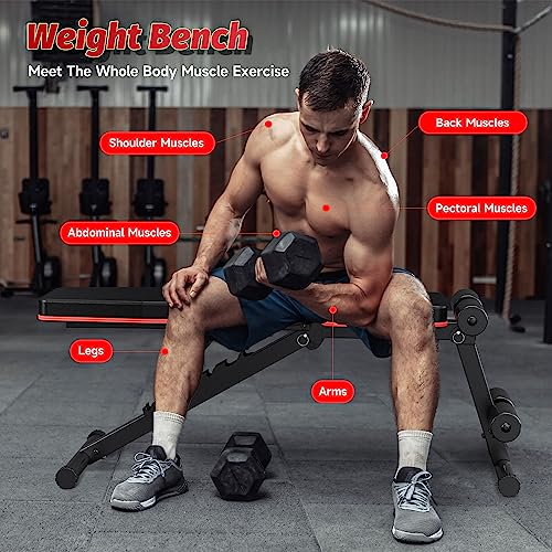 STBO Adjustable Weight Bench,Foldable Workout Bench Incline Decline Sit Up Bench with Resistance Band,Exercise Workout Bench for Home Gym