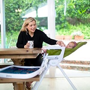 Joovy Nook NB High Chair Featuring Four-Position Adjustable Swing Open Tray, 3-Position Reclining Seat, and Front Wheels - Southern Sea Otter National Park Foundation Edition, Greenamole