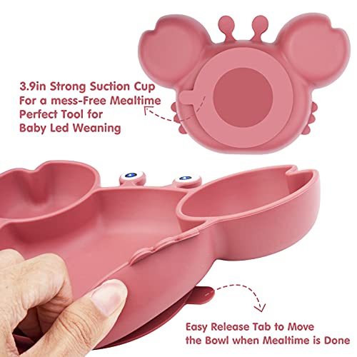 Silicone Suction Plate for Toddlers - Self Feeding Training Divided Plate Dish and Bowl for Baby and Toddler, Fits for Most Highchairs Trays, BPA Free Microwave Dishwasher Safe