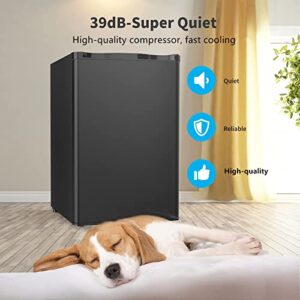 N A 4.5 Cu.Ft Mini Refrigerator Compact Refrigerator-Small Drink Food Storage Machine for Dorm, Garage, Camper, Basement or Office, Single Door Mini Fridge, stainless steel (Black)