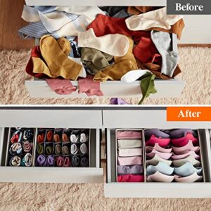 Lifewit Drawer Underwear Organizer Divider 4 Pieces Fabric Foldable Dresser Storage Basket Organizers and Storage Bins for Storing Bra, Lingerie, Undies, Grey