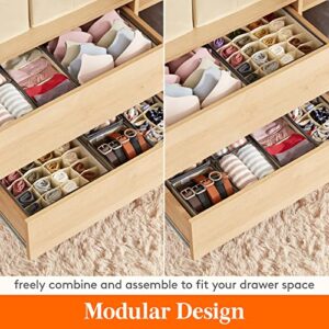 Lifewit Drawer Underwear Organizer Divider 4 Pieces Fabric Foldable Dresser Storage Basket Organizers and Storage Bins for Storing Bra, Lingerie, Undies, Grey