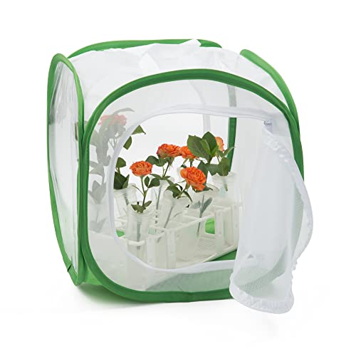 Two Doors Monarch Butterfly Habitat, Insect Mesh Cage, Caterpillar Enclosure Terrarium Pop-up (12 X 12 X 12 Inches)