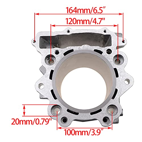 WOOSTAR 102mm Big Bore Cylinder with Piston Ring Kit Replacement for Grizzly 660 700 2002-2008 RHINO 660 2004-2007 Raptor 660R YFM660 UTV ATV 4 Wheeler Quad