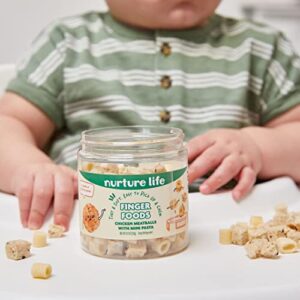 Nurture Life Healthy Baby Stage 3 & Toddler Finger Food 6-Meal Variety Pack, Organic Focus