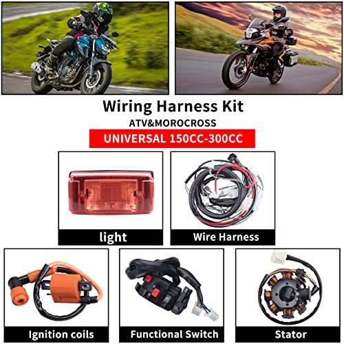 Complete Electrics Wiring Harness Stator Coil CDI Solenoid Relay Spark Plug Tail Light for 4 Wheelers Stroke ATV （150cc 200cc 250cc 300cc） Pit Dirt Bike Go Kart Zongshen Lifan by OTOHANS AUTOMOTIVE