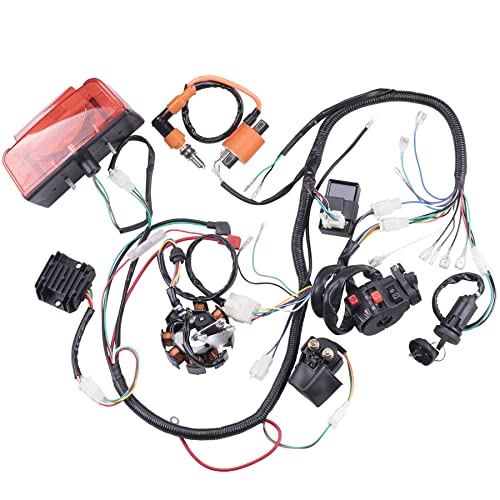 Complete Electrics Wiring Harness Stator Coil CDI Solenoid Relay Spark Plug Tail Light for 4 Wheelers Stroke ATV （150cc 200cc 250cc 300cc） Pit Dirt Bike Go Kart Zongshen Lifan by OTOHANS AUTOMOTIVE