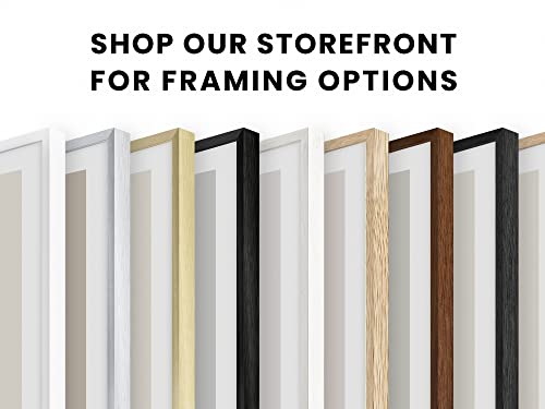 Haus and Hues 11"x14" Beige Oak Wood Frames Set of 4 - 11x14 Poster Frames Poster Sized Frame, Natural Wood Frame 11x14 Wood Frame, 11 x 14 Frame Art, 14x11 Picture Frames Wood 11 x 14 Display Frame For 11x14 Print, 11x14 Picture Frame Wood