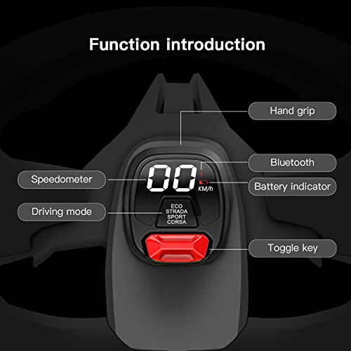 Stopwatch Assembly for GoKart Pro and Gokart Bundle Compatible with Ninebot by Segway Gokart PRO,Go Kart Kit Dashboard Accessories Instrument Display Replacements Original Accessories