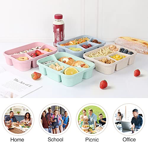 4 Pack Bento Lunch Box, 4 Compartment Meal Prep Containers, Lunch Box for Kids, Durable BPA Free Plastic Reusable Food Storage Containers - Stackable, Suitable for Schools, Companies,Work and Travel