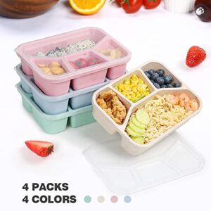 4 Pack Bento Lunch Box, 4 Compartment Meal Prep Containers, Lunch Box for Kids, Durable BPA Free Plastic Reusable Food Storage Containers - Stackable, Suitable for Schools, Companies,Work and Travel