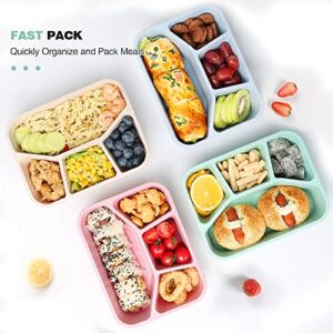 4 Pack Bento Lunch Box, 4 Compartment Meal Prep Containers, Lunch Box for Kids, Durable BPA Free Plastic Reusable Food Storage Containers - Stackable, Suitable for Schools, Companies,Work and Travel