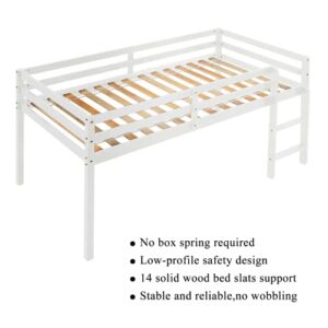 LoLado Loft Bed for Kids with Ladders and Guard Rails,Solid Wood and Sturdy Low Loft Bed Frame for Boys Girls and Junior,No Box Spring Needed,Easy to Assembly,Twin(White)