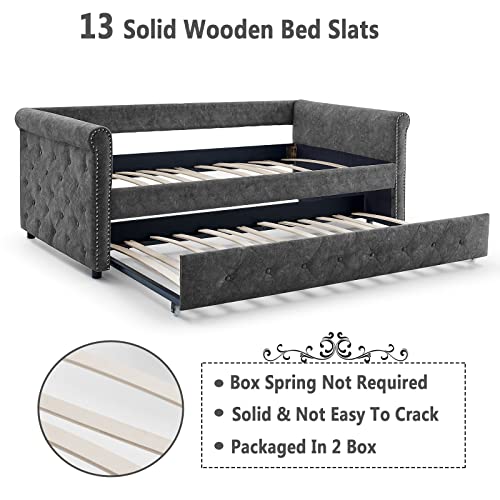 Antetek Daybed with Trundle, Fabric Upholstered Twin Size Day Bed Button-Tufted Sofa Daybed Frame w/Twin Roll-Out Trundle, No Box Spring Needed, Furniture for Bedroom, Living Room, Guest Room, Grey
