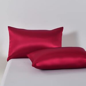 Ydtwnyq 3 PCS Burgundy Red Satin Silky Duvet Cover Queen Size Luxury Silky Bedding Set Super Soft Solid Color 90"x90" Duvet Cover,2 Pillowcases(Queen,Burgundy Red)