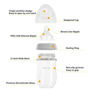 Gulicola Natural Glass Baby Bottle for Breastfed Babies, Medium Flow, Anti-Colic, 3 Months+, 5oz, 2 Count(Grey White)