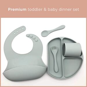 Baby Silicone Feeding Set - Baby Led Weaning Set - Baby Bib, Suction Divided Plate, Dinnerware Cup, Soft Baby Spoon & Fork - Food Grade Silicone, Toddler Utensils Plates, Baby Feeding Supplies