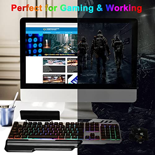 FEDARFOX Keyboard and Mouse Combo, Compact Full Size Gaming Rainbow Keyboard and Mouse Set Backlit Illuminated Mice Mechanical Keyboard for Windows, Computer, Desktop, PC, Notebook (Black)